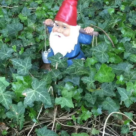 Semesterbostad Oyenkerke De Panne