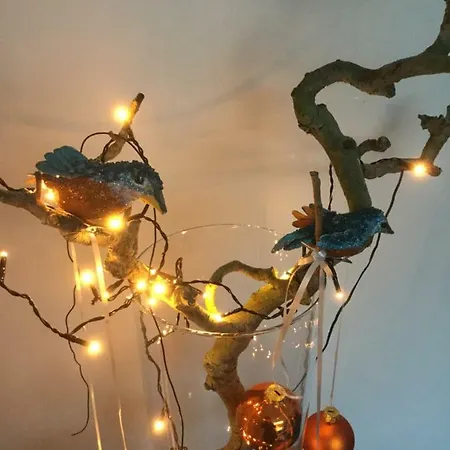 Semesterbostad Oyenkerke