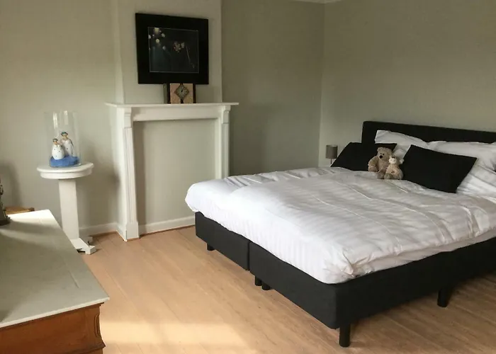 Oyenkerke 펜션 드판